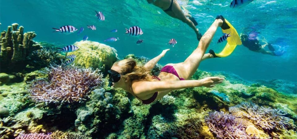 Snorkeling x