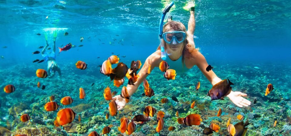 Snorkeling x