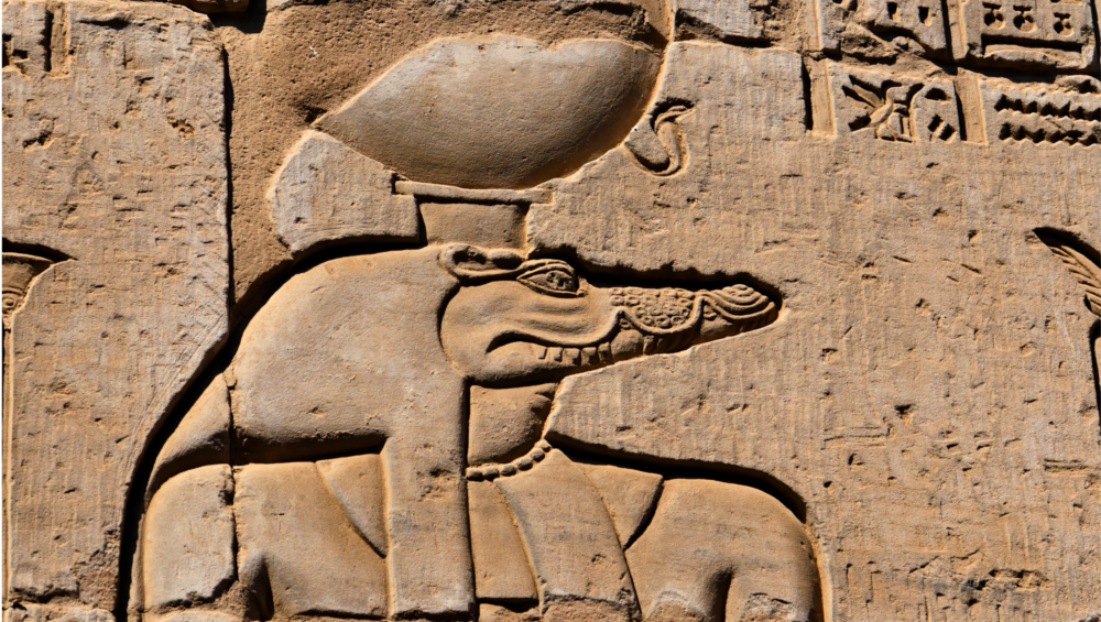 A relief carving of Sobek, the crocodile-headed god of the Nile, from an ancient Egyptian temple.