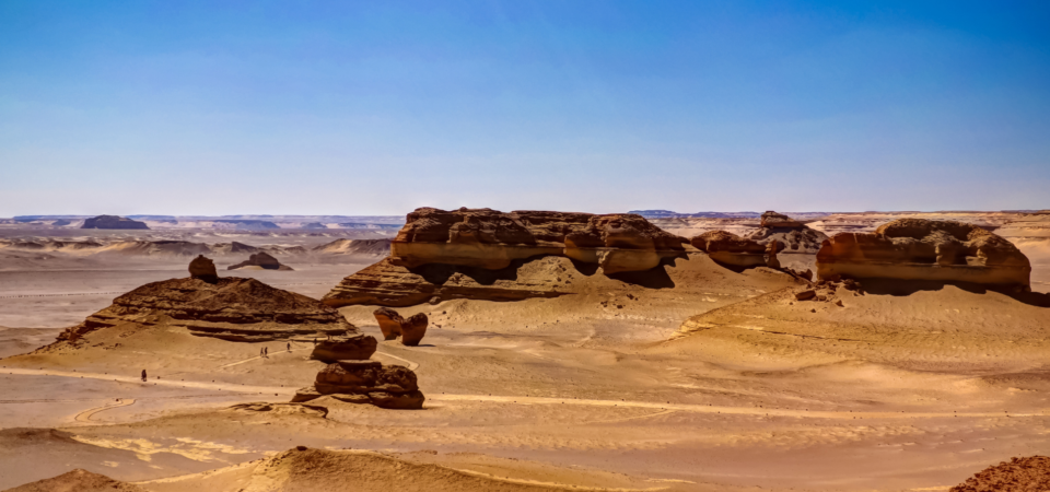 Wadi Al Hitan, Fayoum