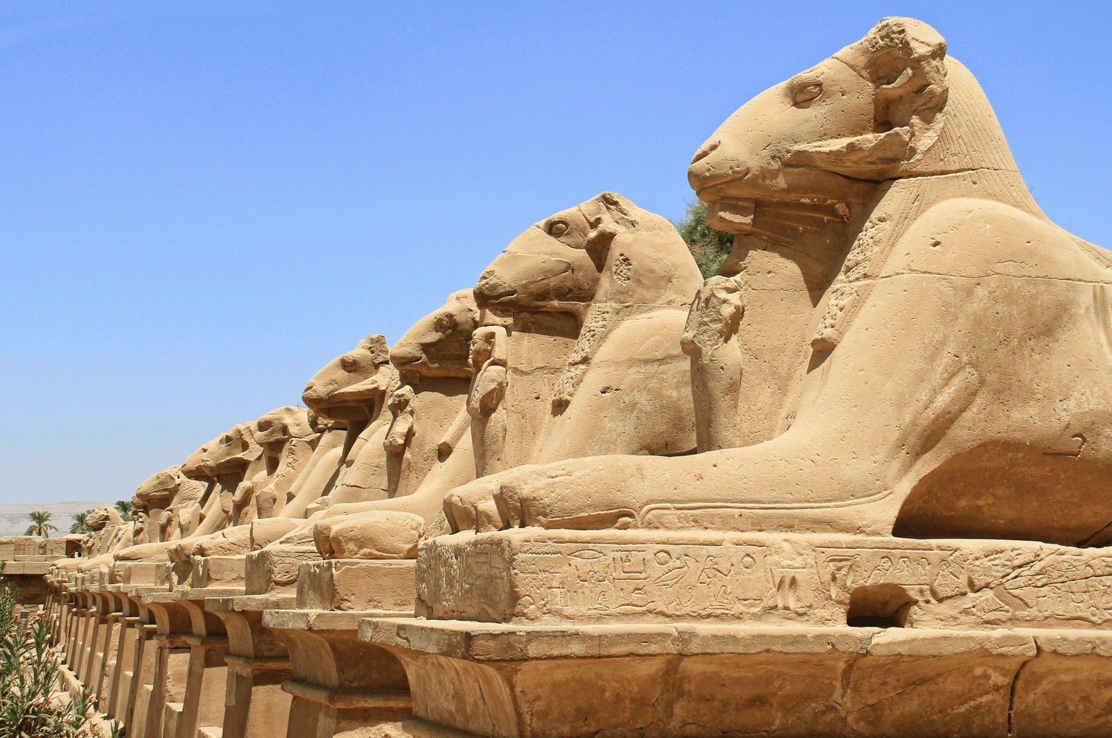 A photo of the Avenue of Sphinxes at Karnak Temple, showcasing rows of ram-headed sphinxes leading towards the temple entrance.