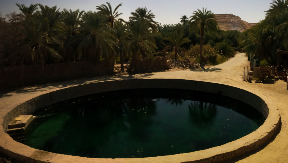 A circular pool of water surrounded by palm trees and a desert landscape, believed to be Cleopatra's Spring in the Siwa Oasis, Egypt.