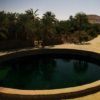 A circular pool of water surrounded by palm trees and a desert landscape, believed to be Cleopatra's Spring in the Siwa Oasis, Egypt.