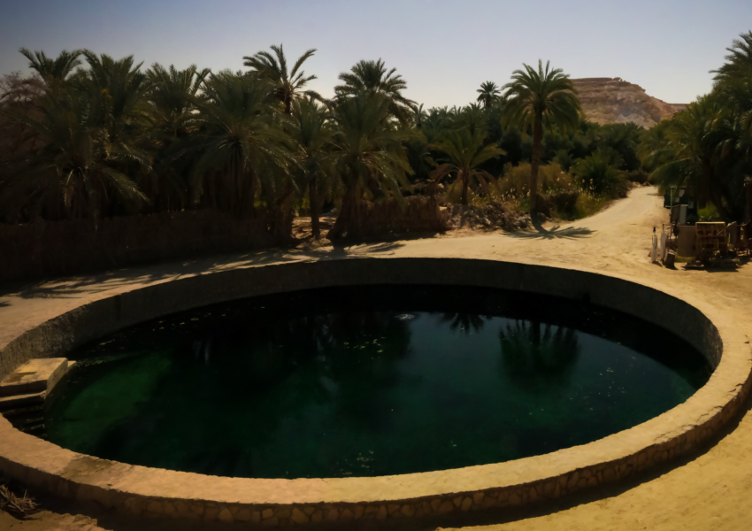 A circular pool of water surrounded by palm trees and a desert landscape, believed to be Cleopatra's Spring in the Siwa Oasis, Egypt.