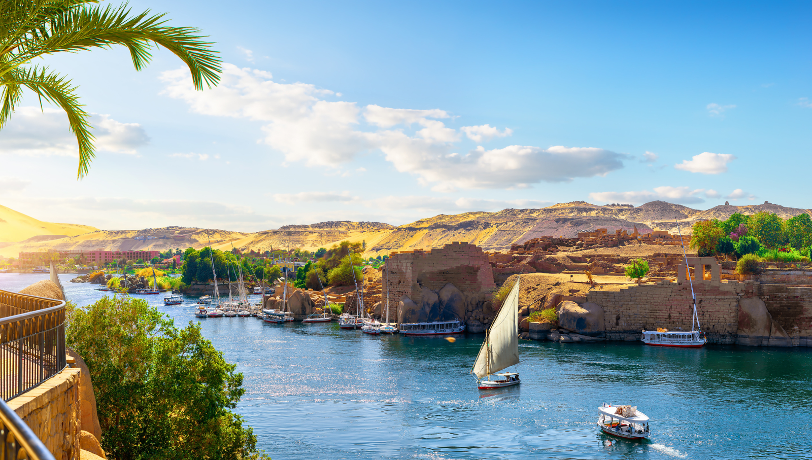 : A panoramic view of the Nile River in Aswan, Egypt, featuring feluccas sailing on the water, palm trees lining the riverbank, and ancient ruins in the background.