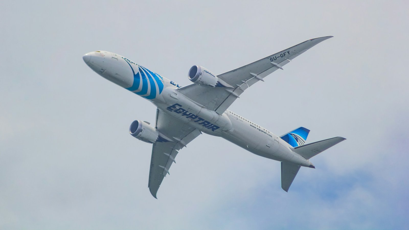 A photo of an EgyptAir Boeing 787 Dreamliner airplane in flight.