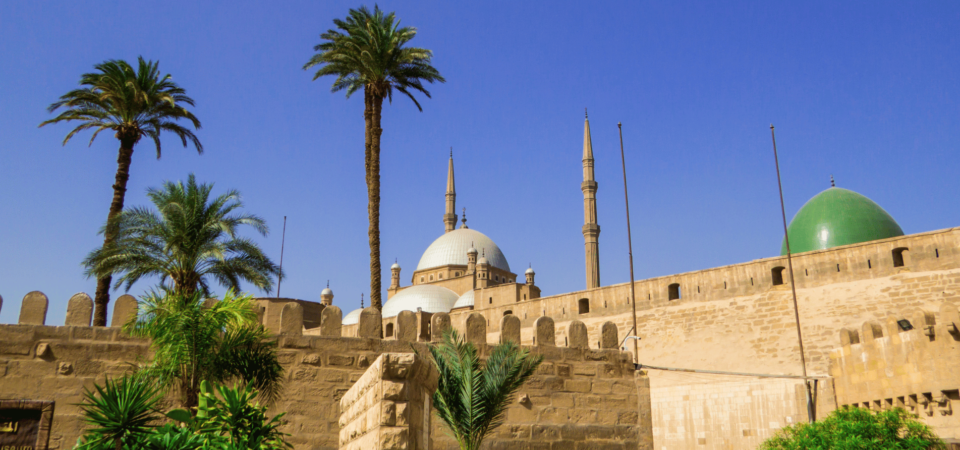 The Mosque of Muhammad Ali framed by palm trees within the Citadel of Cairo