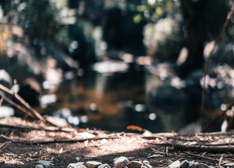 What does 1212 mean spiritually