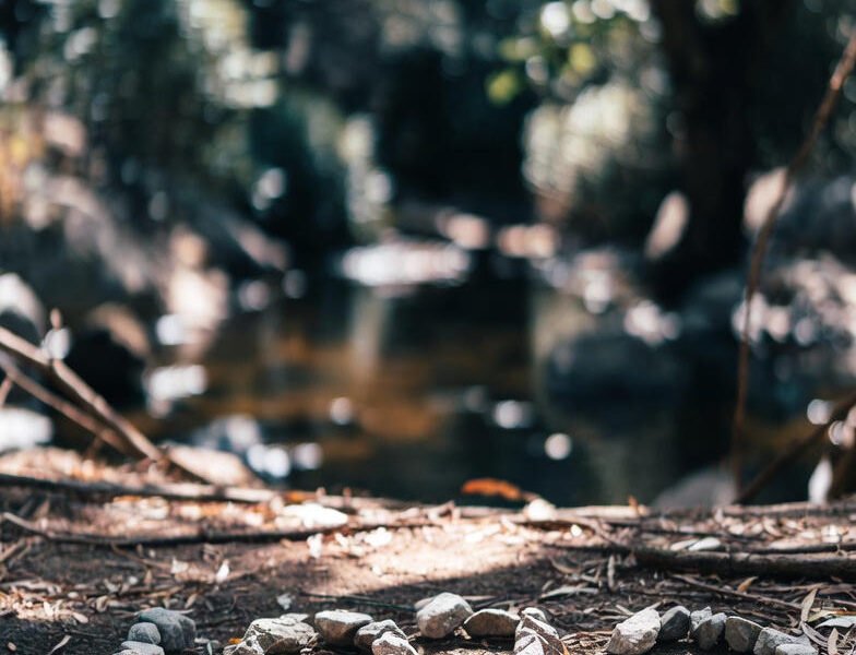 What does 1212 mean spiritually