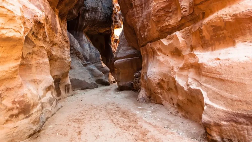 Can Petra Be a Day Trip From Amman?